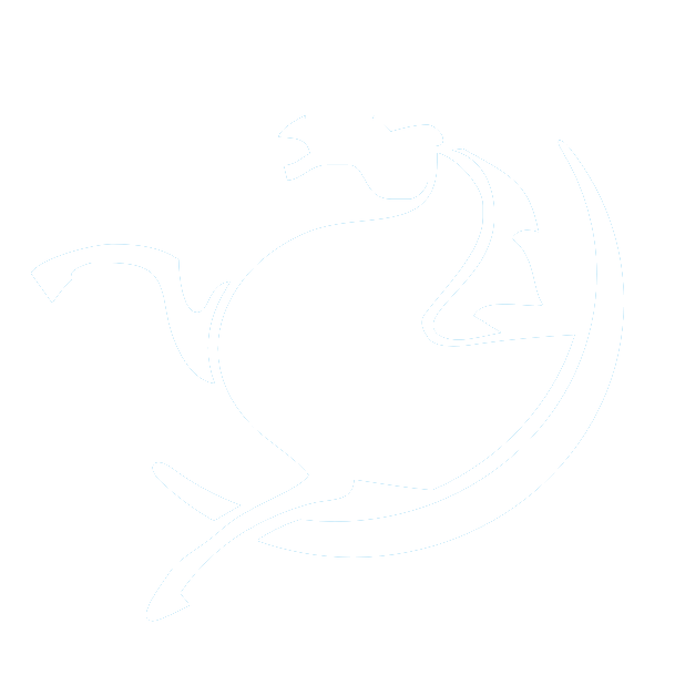 领域天马